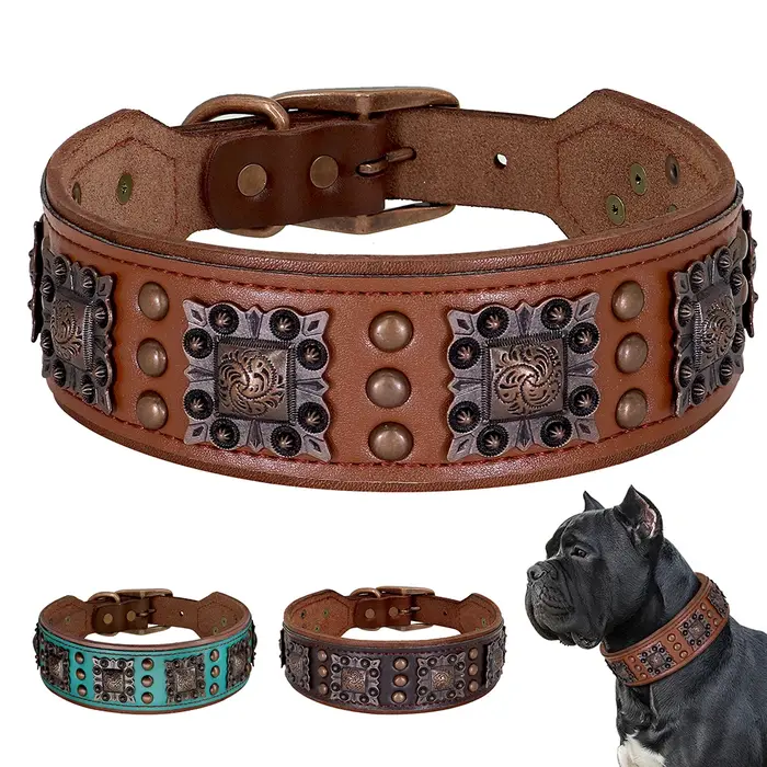 Collier de chien à pointes Cool pour chiens de taille moyenne en cuir véritable Pitbull bouledogue r
