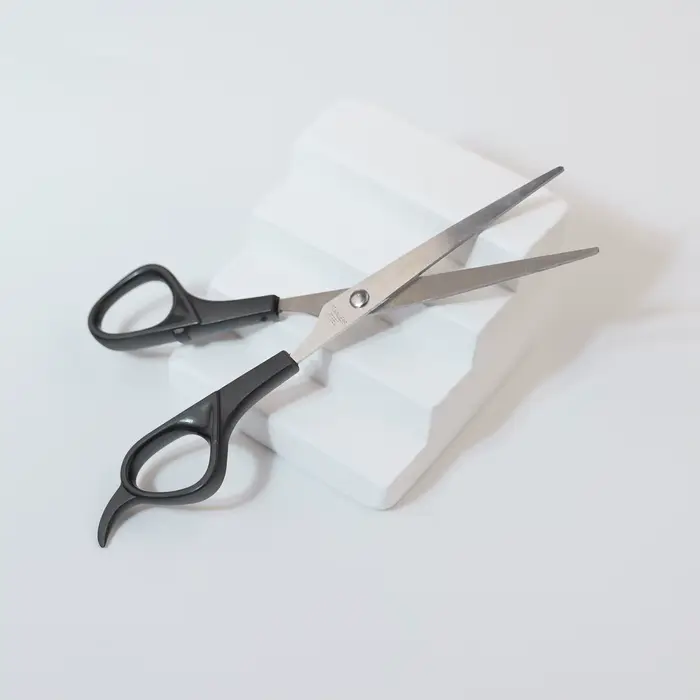 Kit de ciseaux de coupe de cheveux, ciseaux de coiffure professionnels pour Salon de coiffure, barbi