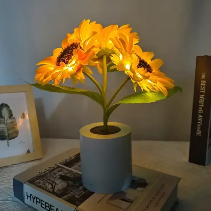 3 LED veilleuse Rechargeable tournesol lumières éclairage intérieur chambre chevet bureau décoration