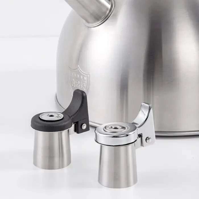 Buse remplacement pour bouilloire à thé, embout bouilloire en acier inoxydable, accessoire d'avertis