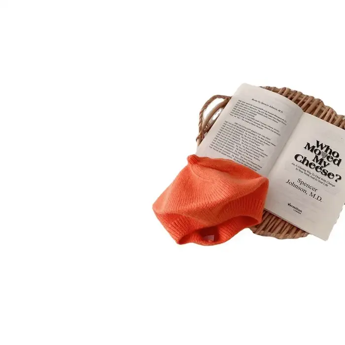 Béret tricoté pour bébé peintre français automne hiver épais unisexe berceau nouveau-né confortable pour les sorties en famille et les occasions spéciales