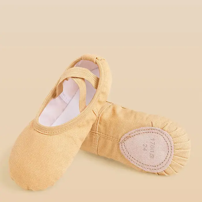 Chaussures de Ballet pour filles, chaussures de danse pour femmes, pantoufles de danse en toile à se