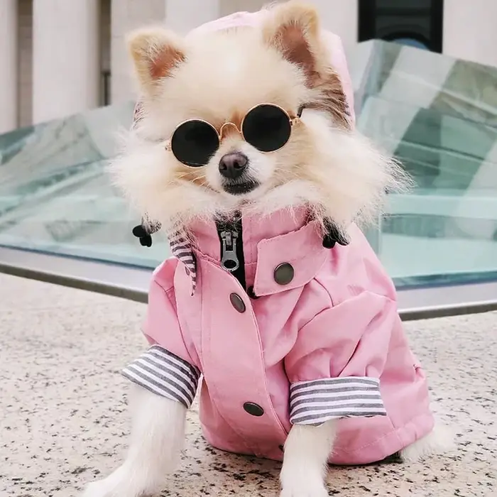 Manteau imperméable pour chien de compagnie, pour petits, moyens et grands chiens, veste coupe-vent,