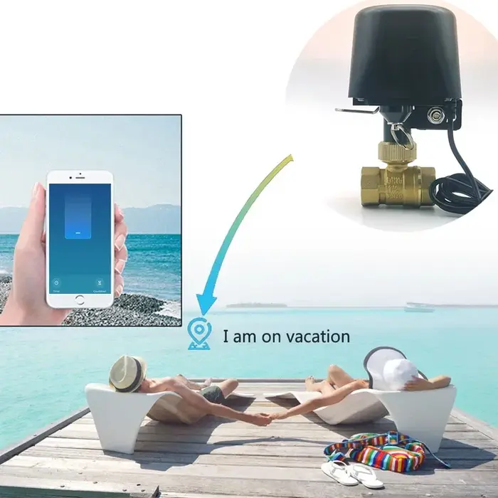 Tuya Zigbee WIFI vanne d'eau intelligente DN15 DN20 DN25 contrôle domotique robinet minuterie prise 