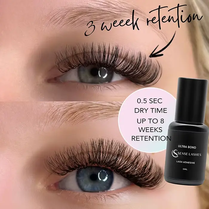 SENSE LASHES 10 bouteilles de colle à cils 5ml adhésif pour cils pegamento de pestañas adhésif exten