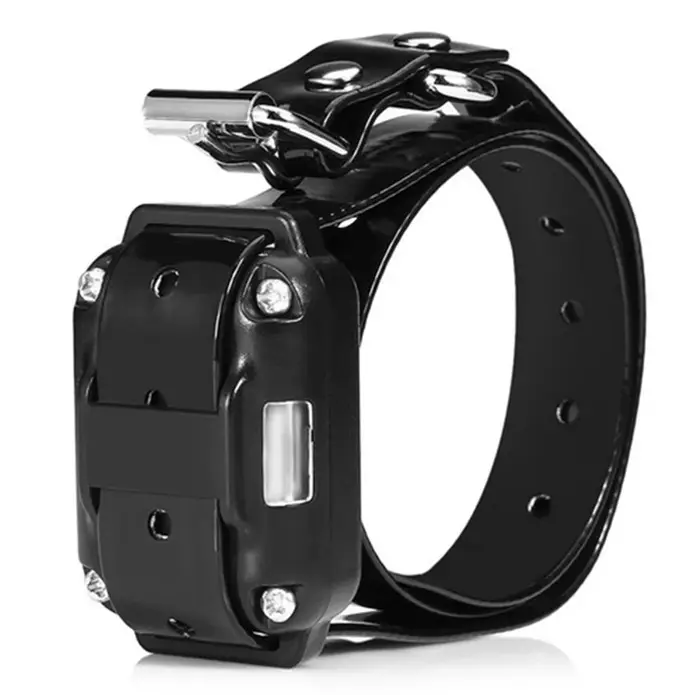 Collier électronique uniquement, non automatique, veuillez acheter une télécommande