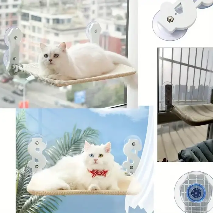 Vis M8 en caoutchouc Transparent, ventouse, crochets à écrou tournant pour dessus de Table en verre,