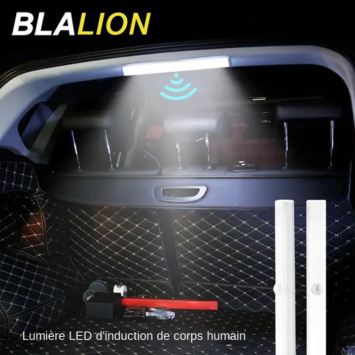 SEAMETAL veilleuse voiture toit lampe à LED 3 Modes sans fil corps humain Induction USB coffre Auto intérieur