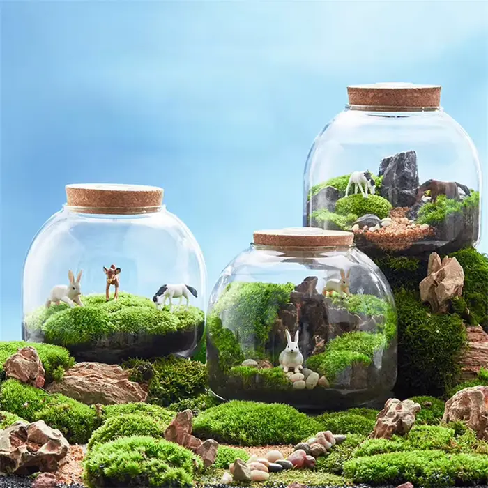 Micro paysage mousse Bryophyte Vase en verre avec liège vert frais mousse bouteille Terrarium en ver