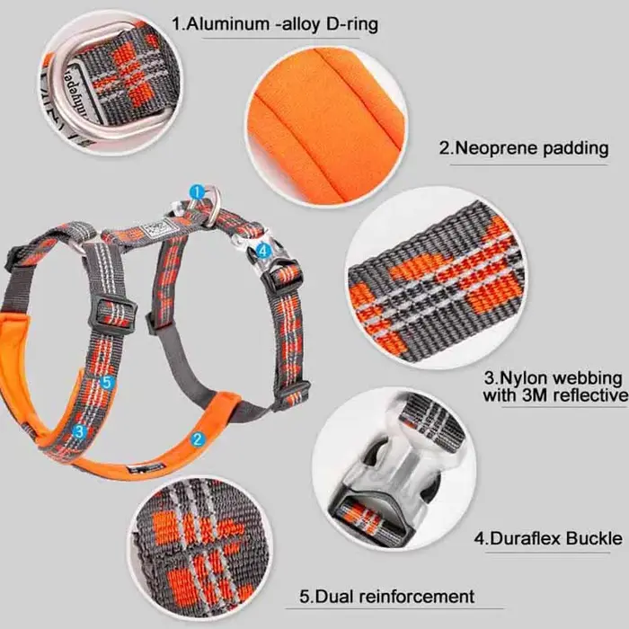 TRUELOVE harnais pour animaux de compagnie gilet sangle de poitrine pour chien chat marche en plein 