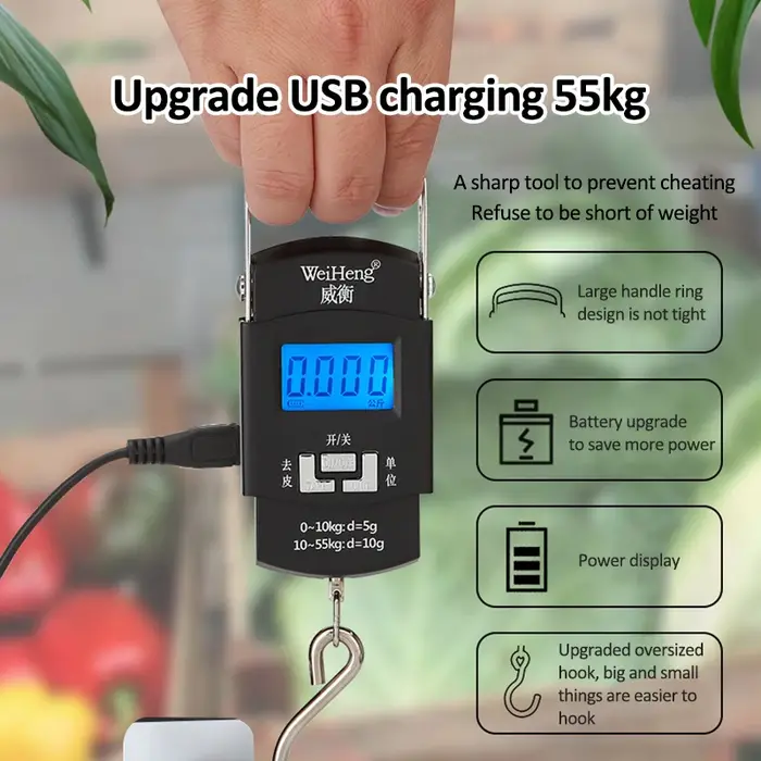 Balance numérique électronique avec chargeur USB 55kg/10g, crochet suspendu, pêche voyage, Double pr