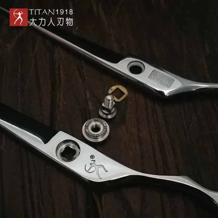 Titan – ciseaux de coiffure professionnels de 6.0 pouces, pour salon de coiffure, coupe de cheveux, 