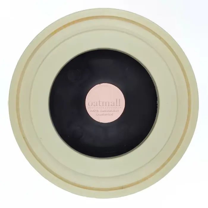 Filtre à cartouche de remplacement pour Karcher WD3 WD 3 P SE4001 WD2 WD1 MV3, filtres HEPA pour pou