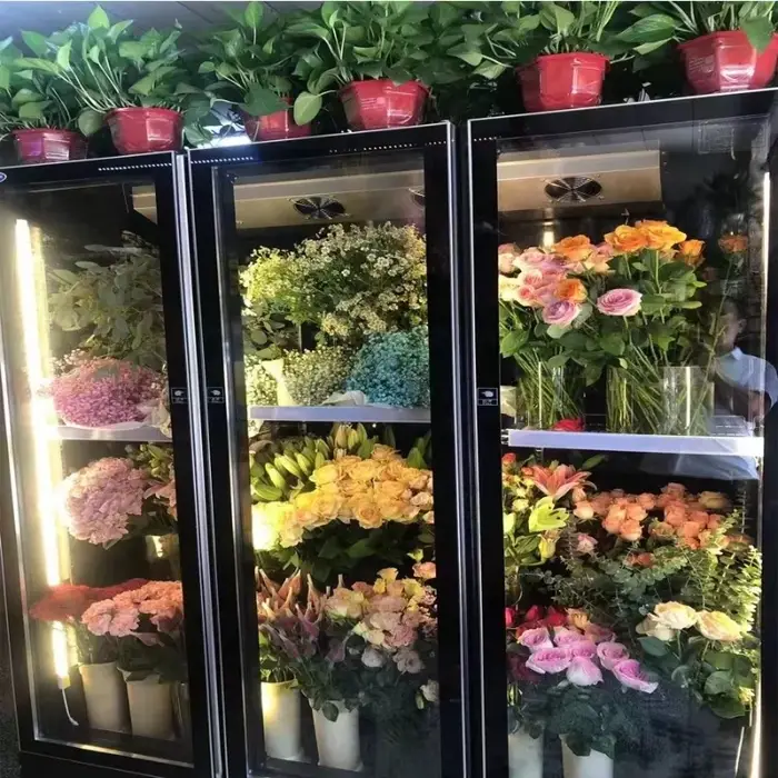 Réfrigérateur Vitrine Commercial Multi-Portes à Portes Vitrées pour Fleurs, Personnalisable
