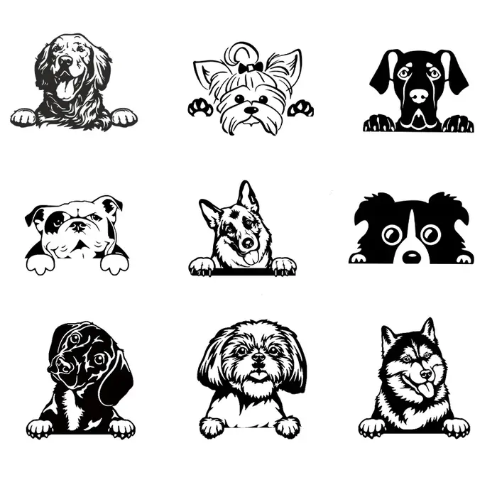 Voitures accessoire décalcomanies drôle chien avec nom voiture décalcomanie chiens animaux de compag