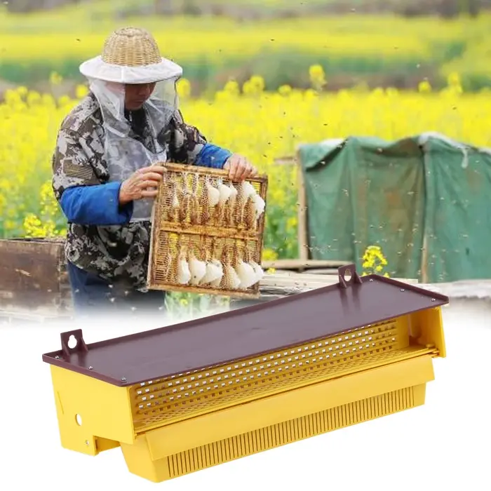 PerfecYellow-Piège en Plastique Ventilé par Escalade, Outil d'Apiculture