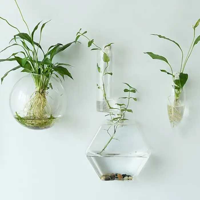 Plantes hydroponiques murales de forme irrégulière, artisanat en verre, vase hydroponique, récipient